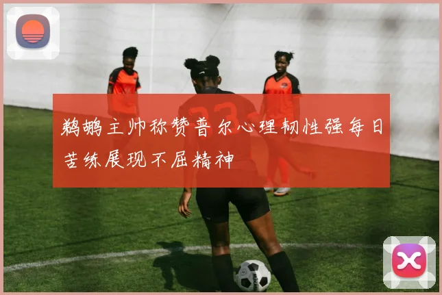 鹈鹕主帅称赞普尔心理韧性强每日苦练展现不屈精神