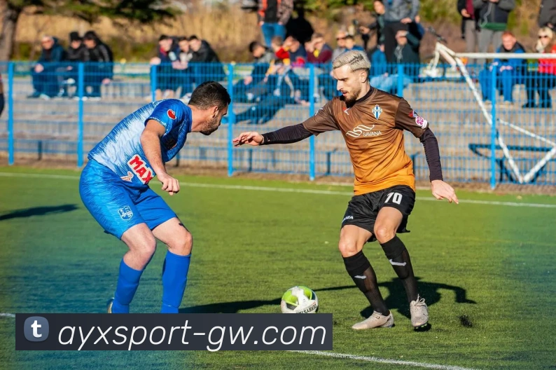 爱游戏平台生态图